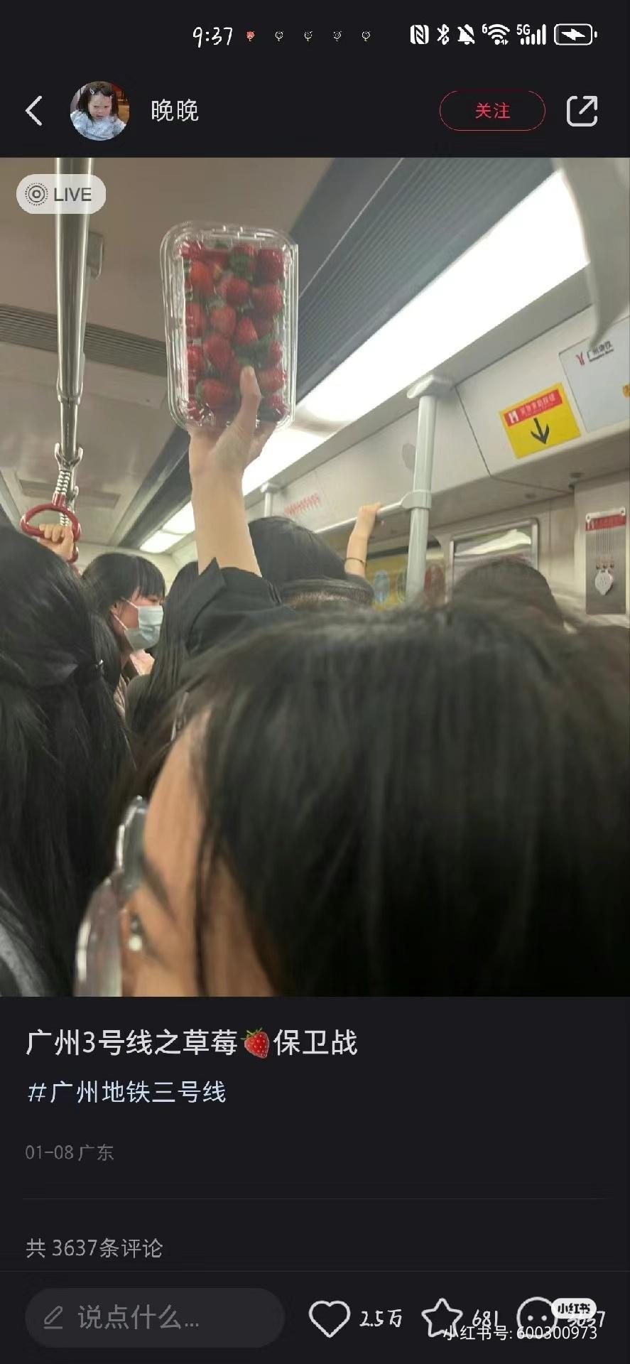 哈哈哈草莓🍓保卫战 ​​​