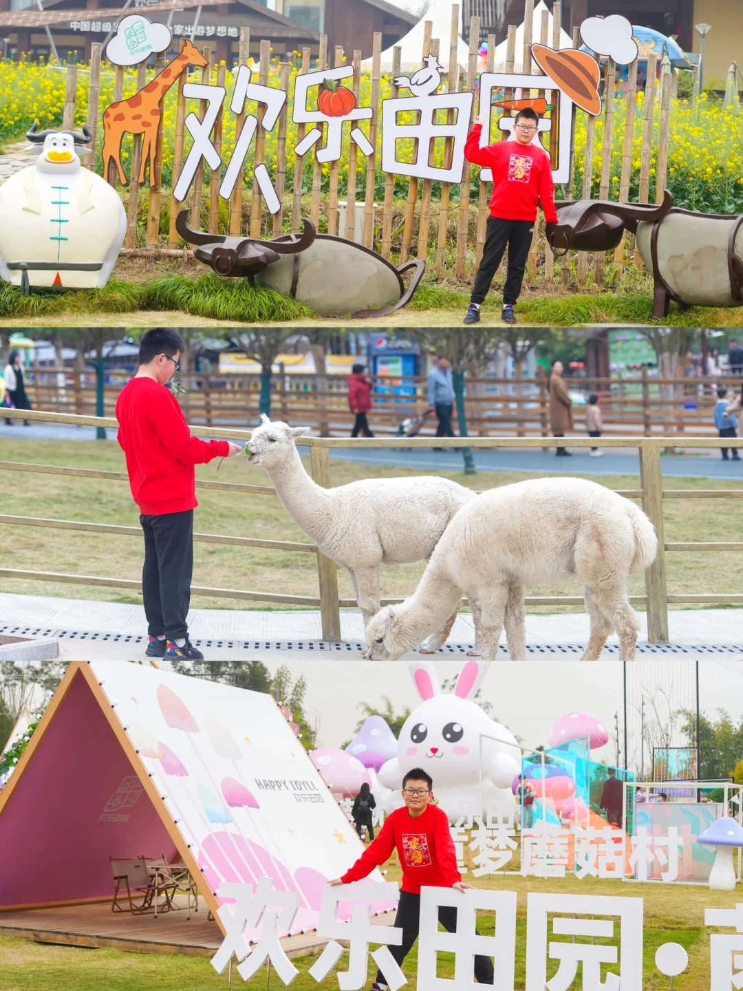 成都春季露营踏青，遛娃就去欢乐田园！