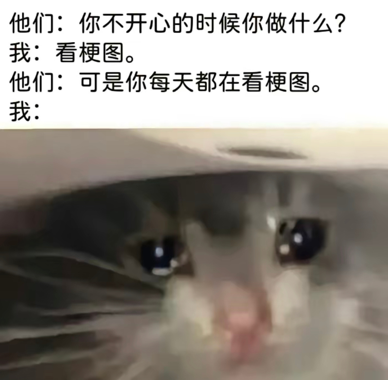 [悲伤]#今日memes##我的幽默搭子##定格# ​​​