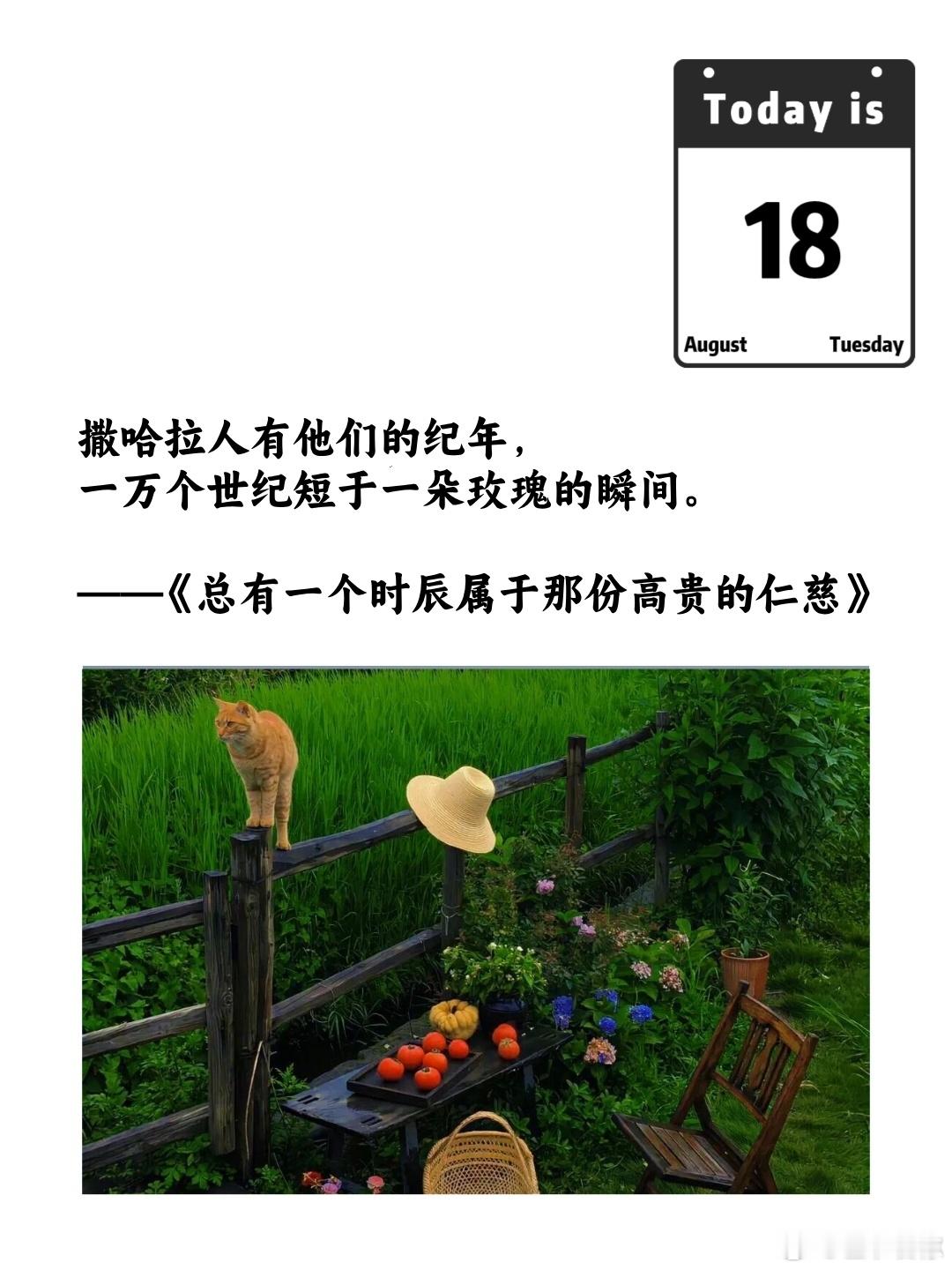 撒哈拉人有他们的纪年，一万个世纪短于一朵玫瑰的瞬间。——《总有一个时辰属于那份高