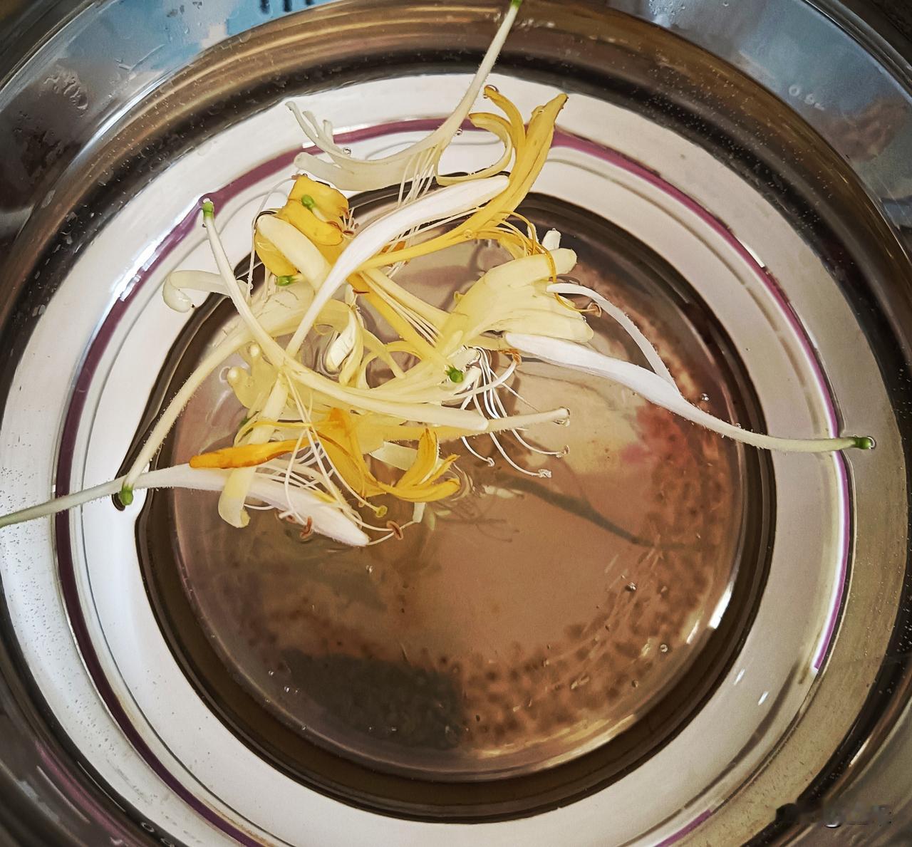 现摘现泡的金银花茶～～
何以消烦扰，绿意有余香。
金银花入馔，仿若将山水田园融入