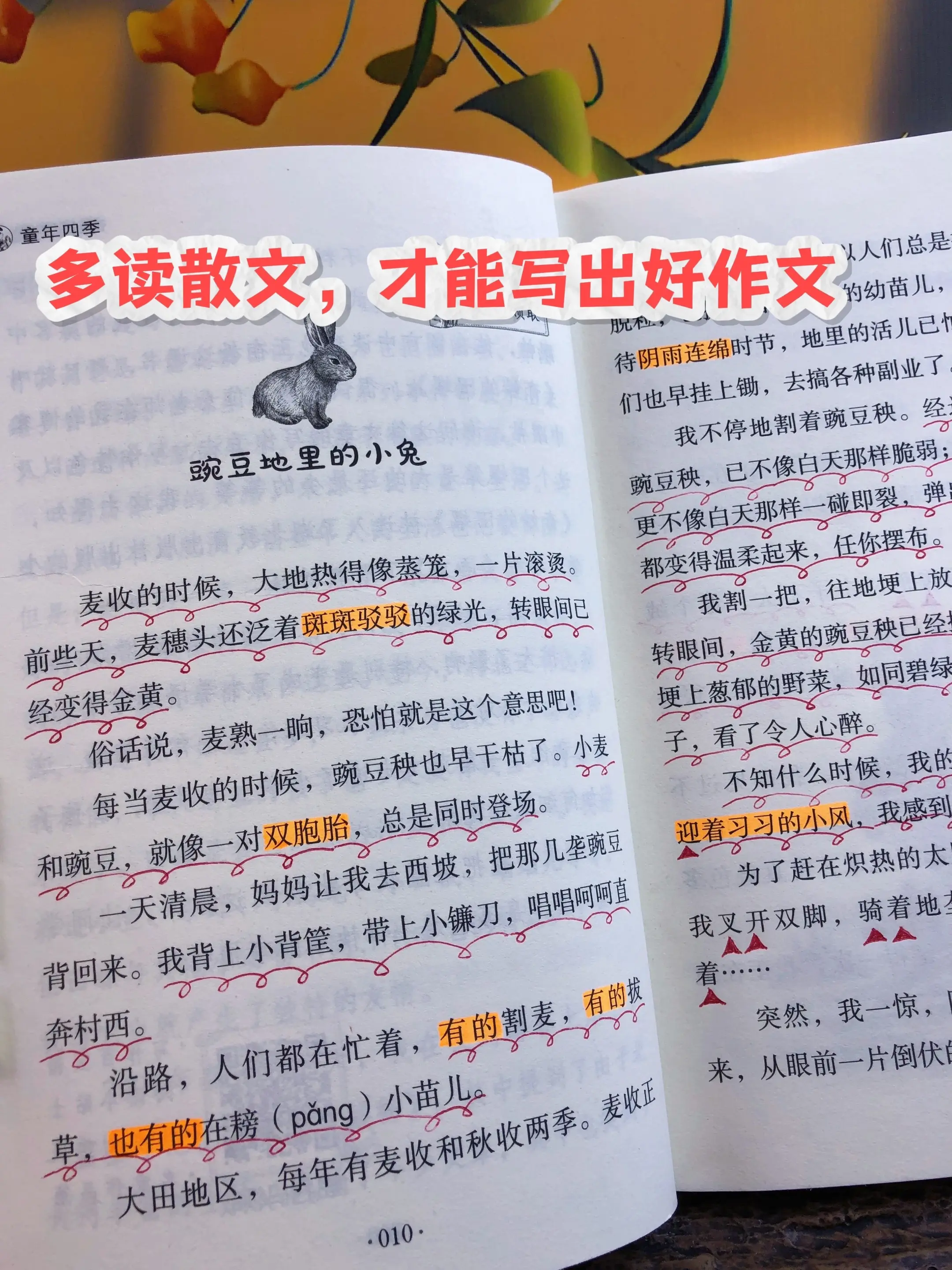 三年级开始，孩子要多读名家散文🔥。每天读一读，深入感受文字的魅力，书...