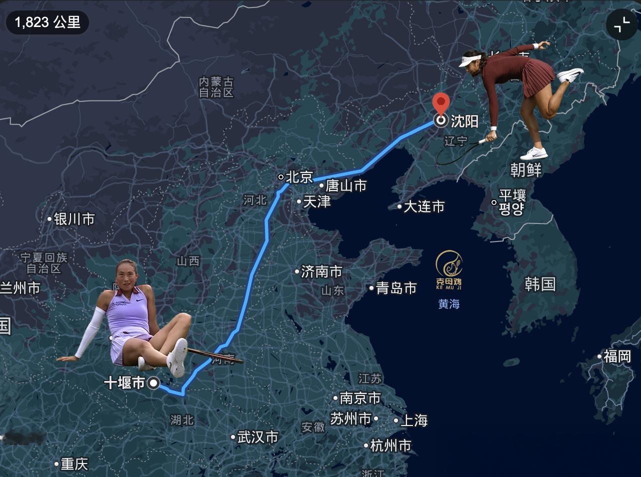 女王杯1/4决赛，郑钦文克服第二盘0-3的落后，6-2/6-4完胜本土作战的拉杜