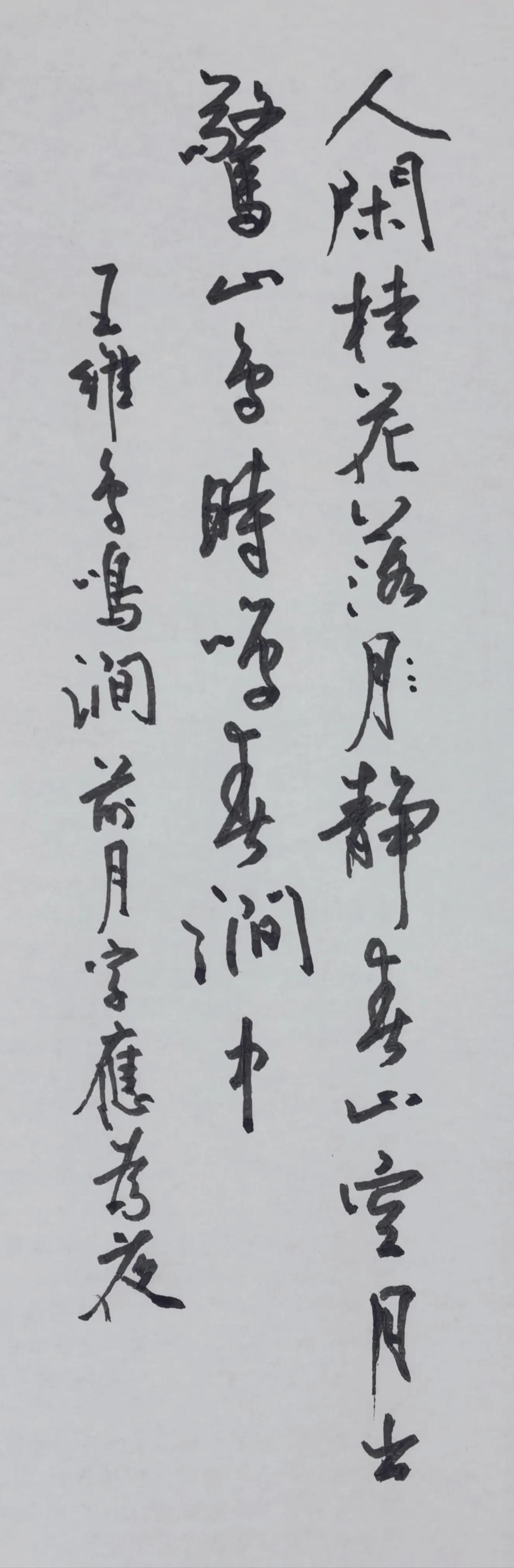 能看得出来这是用弯尖的美工笔钢笔写的吗？有一点毛笔的效果了吧。王维的鸟鸣涧。