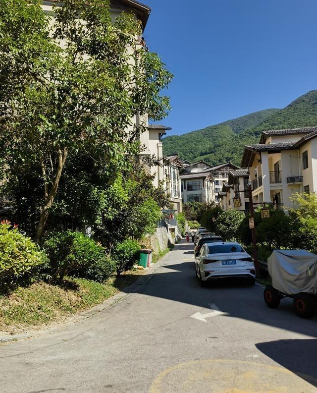 村里红白喜事的大爷说，去年死了53人，今年才8月已经送走12个，人口减少得比双十