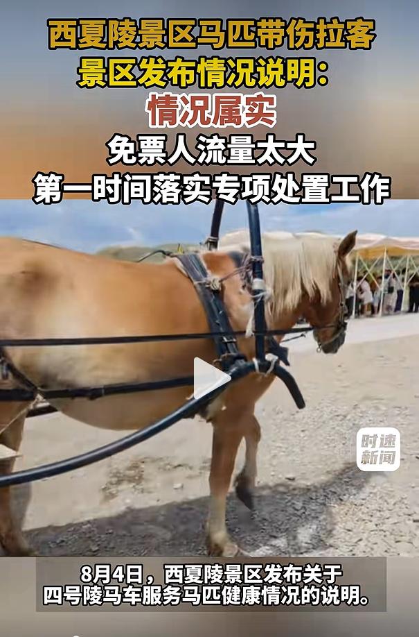 8 月 3 日有网友在社交平台分享实拍视频，曝光宁夏银川西夏陵景区四号陵接驳马车