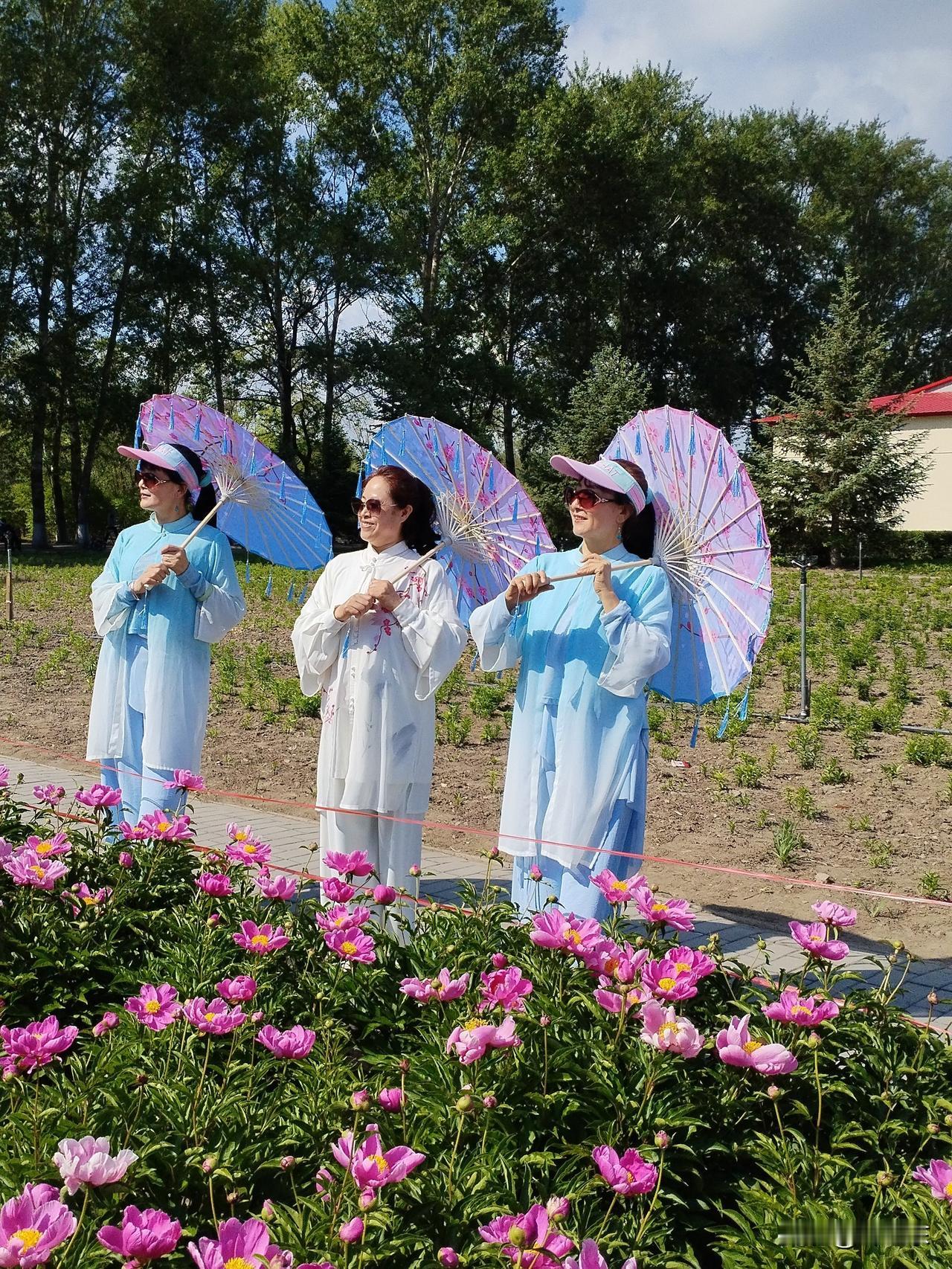 蛾眉笑
蛾眉优雅芍药园，
香风纸伞绣花篮。
蜂旋蝶舞娉婷绕，
请续句……
（蟾宫