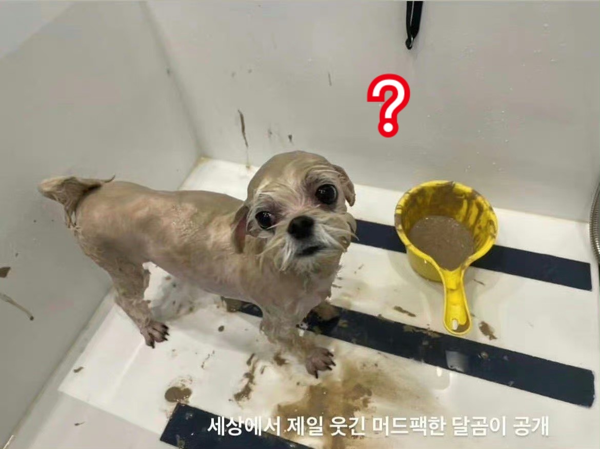 又PK？我要精断人亡了 ​​​