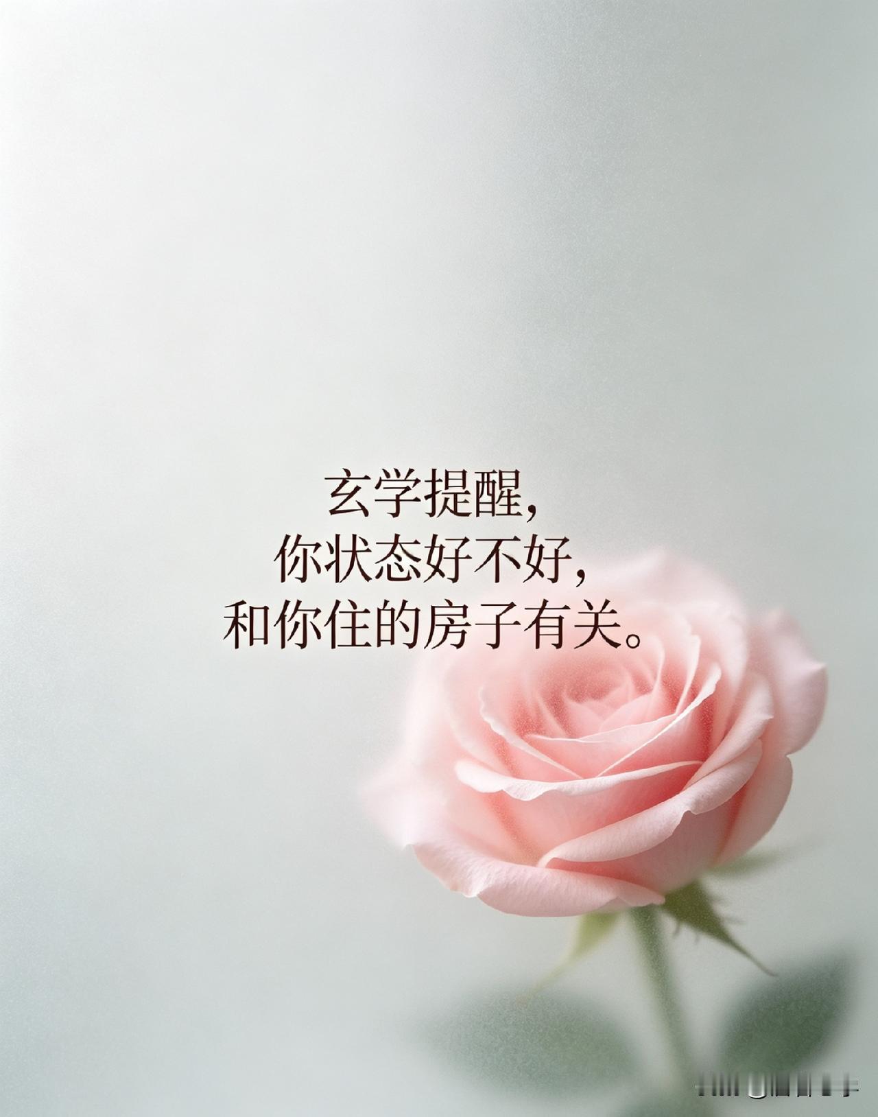 玄学提醒，你状态好不好，和你住的房子有关。

你有没有发现，有时候你明明睡够了、