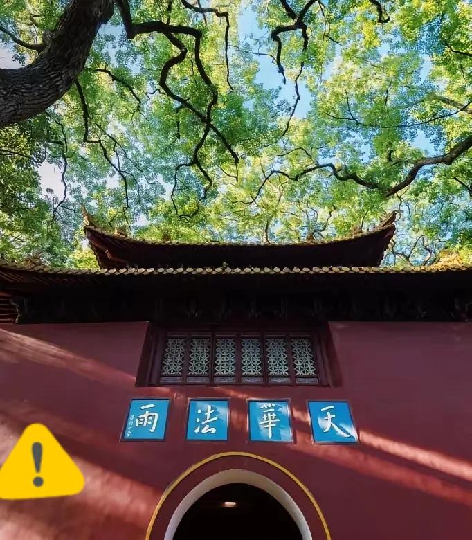 谁能想到，庄严清净的法雨寺僧寮里，竟搜出了日本间谍的密写情报，现在回想都后背发凉