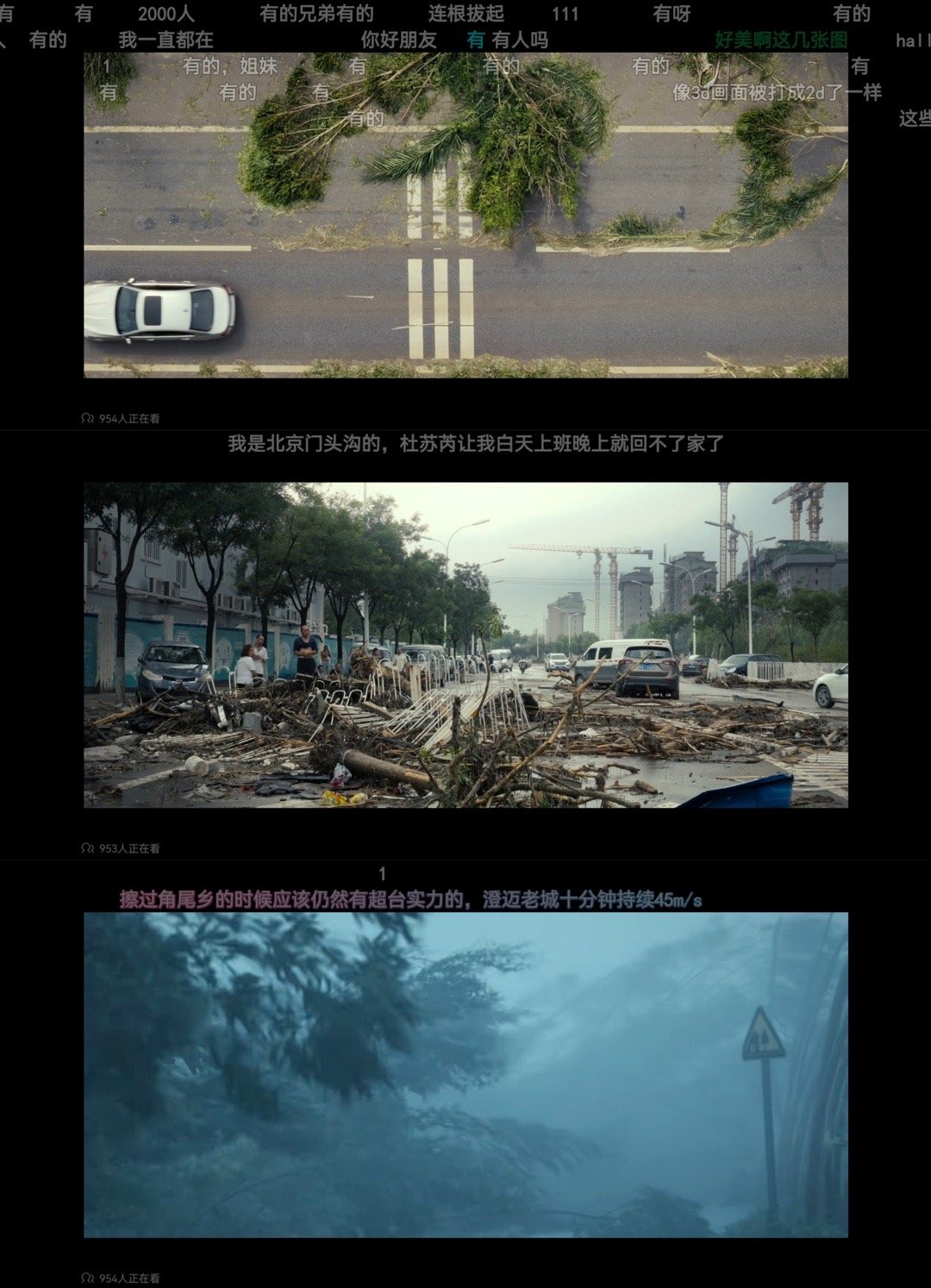 00后顶着台风自制纪录片 台风天刷到宝藏片！00后导演追着台风拍，4K画面真实到