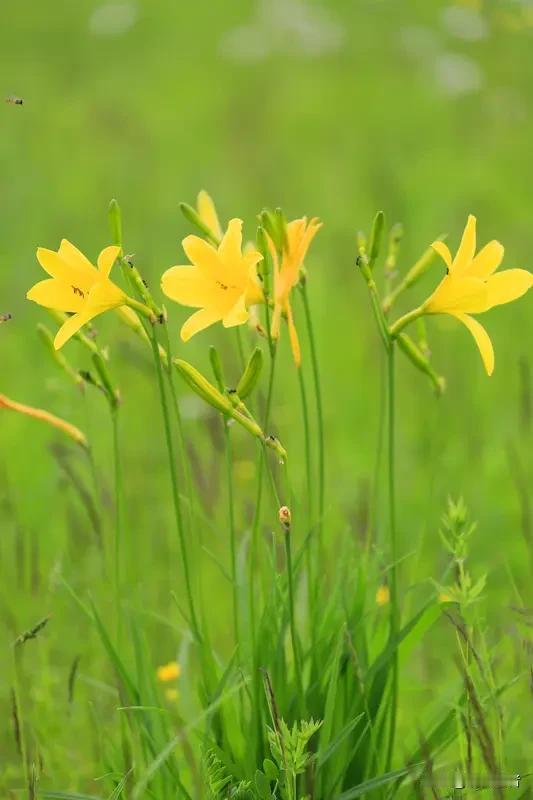 杭州一位00后姑娘月入9000元却月月光，母亲偶然发现女儿竟将过半收入用于购买秒