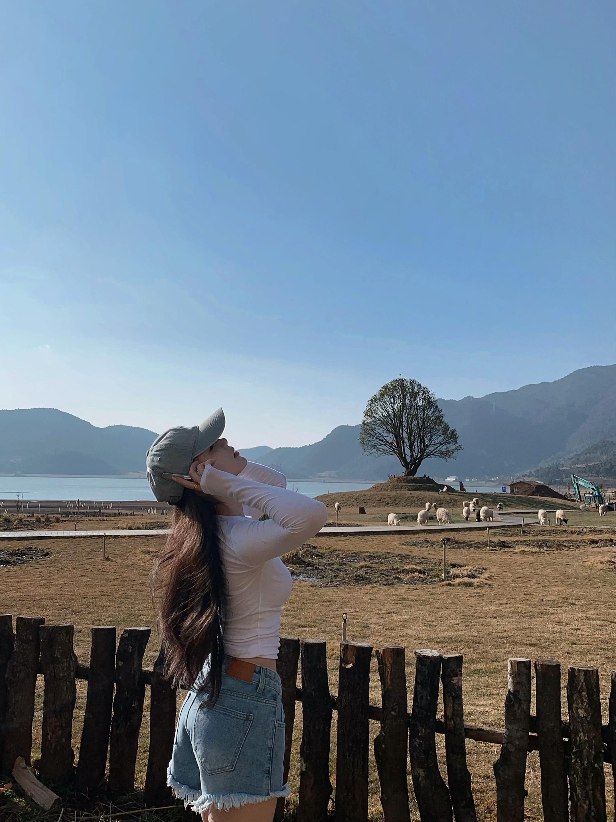 随后 便是你最爱的秋天  感觉至上