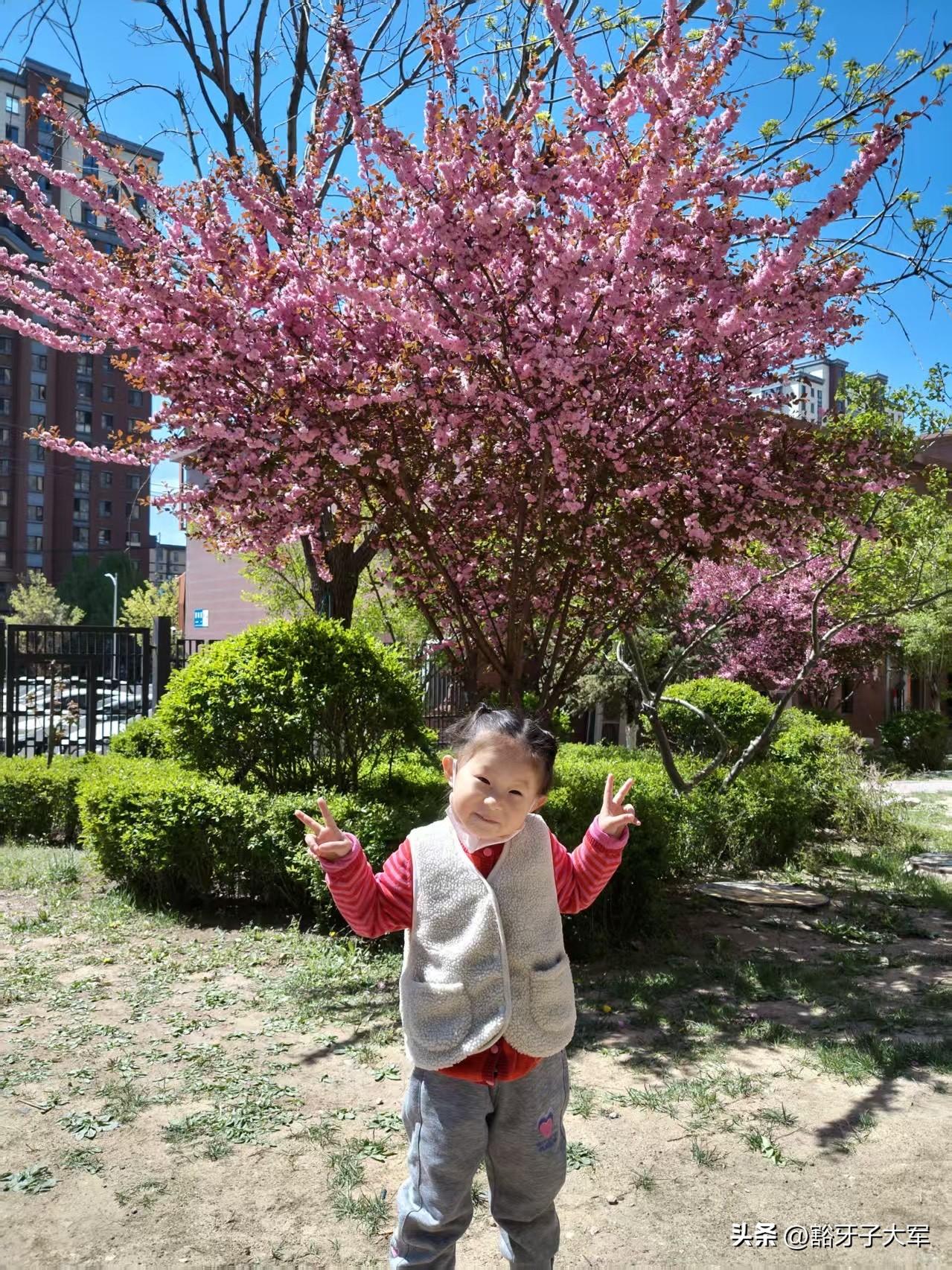 爸爸总是在反复思量该怎样当好你的引路人，可深知自己只是一个普通的父亲，没有耀眼的