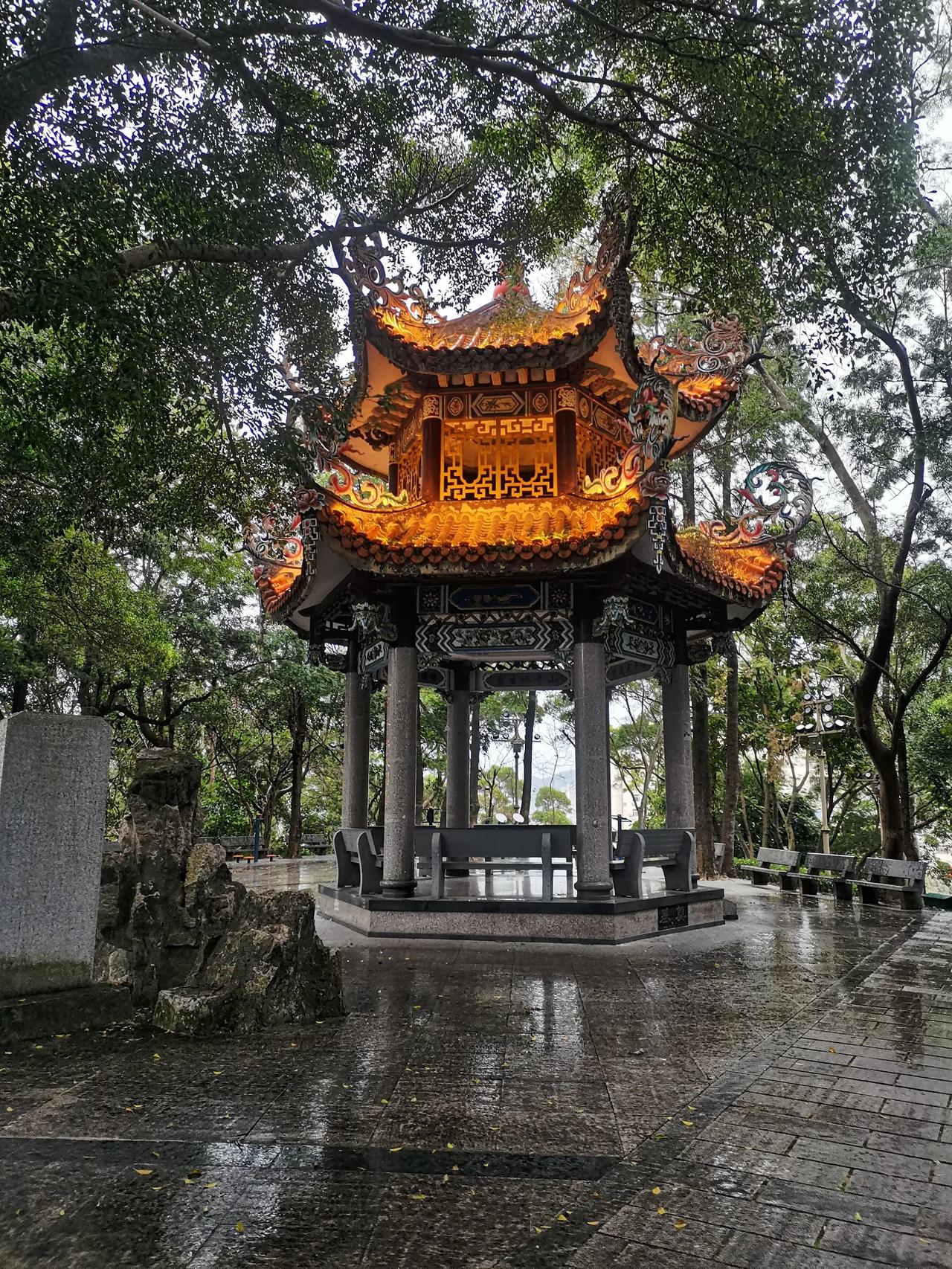 风雨无阻🌧！
  风雨无阻