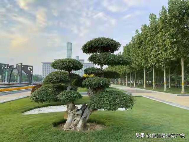 委实想不到，在这里，最长寿的人从事的职业有很大的趋同性，他们就是长期坚持为人民服