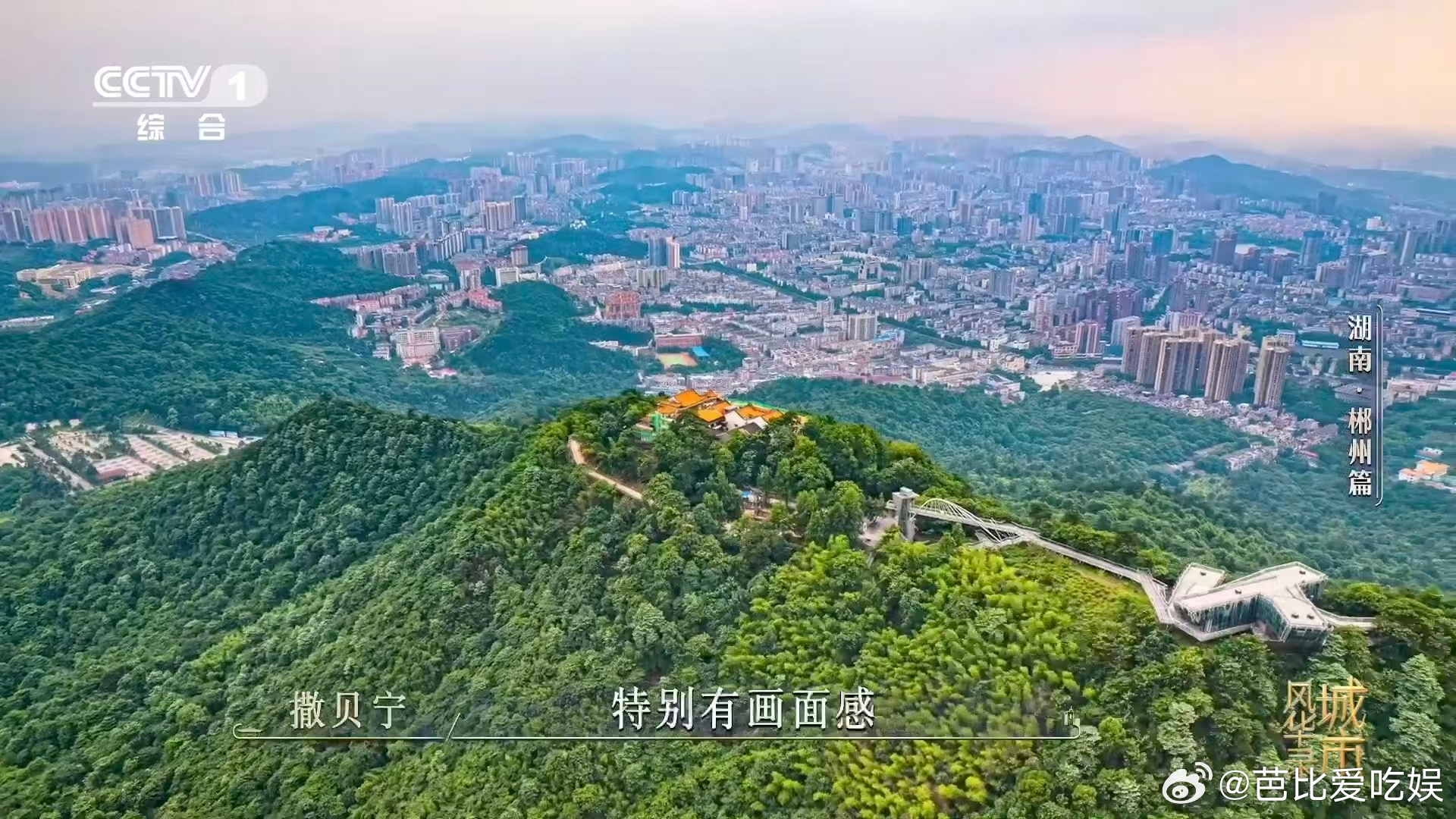 魏大勋给撒贝宁问不会了 笑麻了！魏大勋一个问题把撒贝宁问懵，“郴”字念chēn，