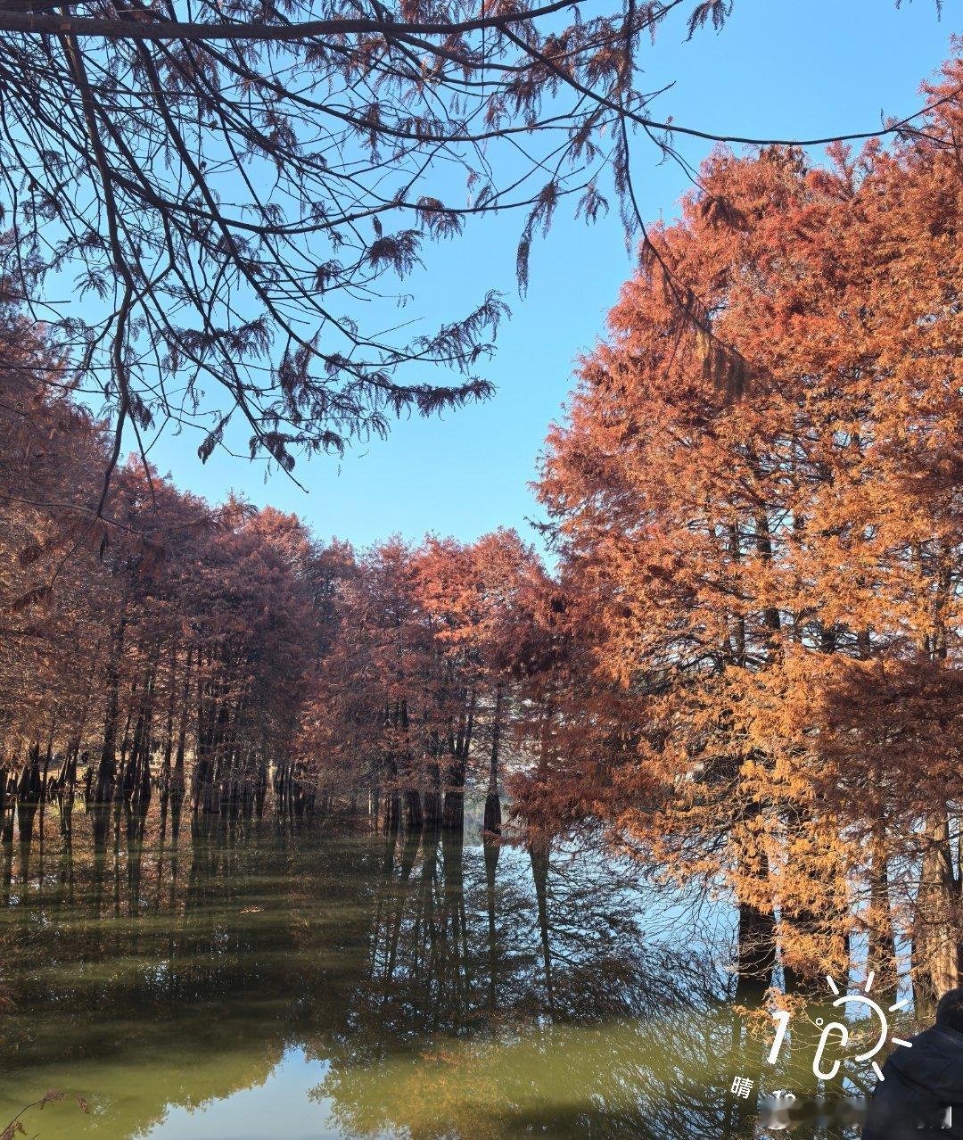 早安          等车出发……      