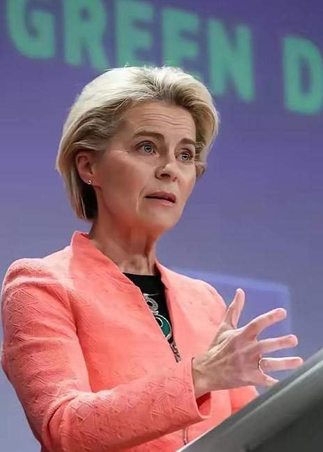 一个欧洲高官向欧盟发出了质疑：“要是我们真帮美国把中国搞垮了，那美国不是想干嘛干