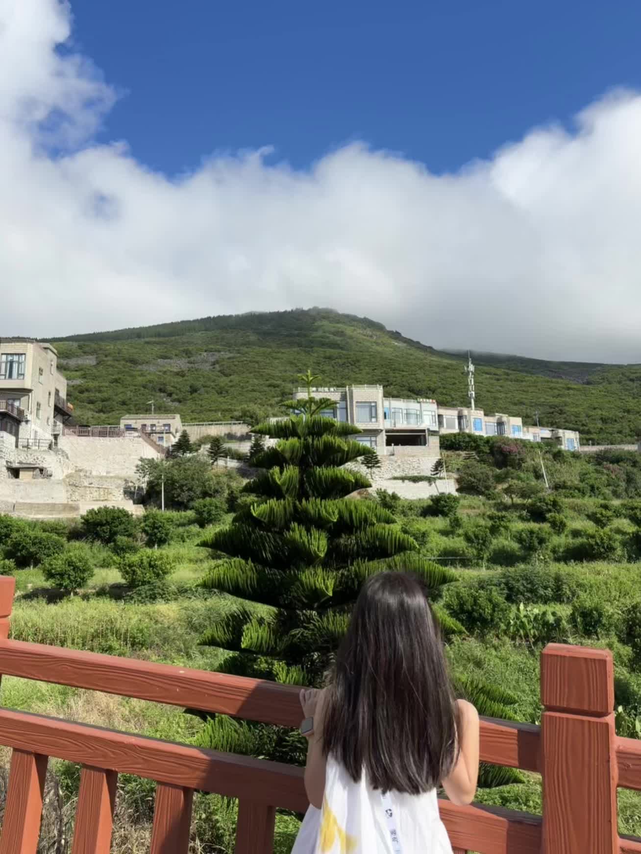 海边的风