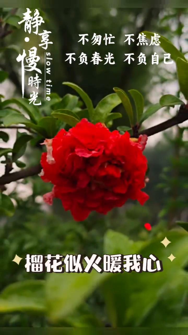 慢时光。
享slow time，不勿忙、不焦虑，不负春光、不负自己。林中小路盼你