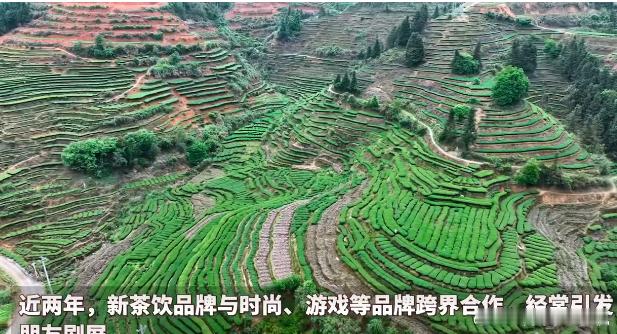 #喜茶竟然和飞猪搞起了旅游#这个五一，与喜茶和飞猪一起，感受茶与旅行的完美结合，
