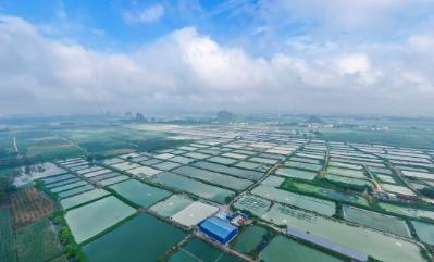 广西工业职业技术学院在南宁。是广西壮族自治区工业和信息化厅直属的公办高校。学校2