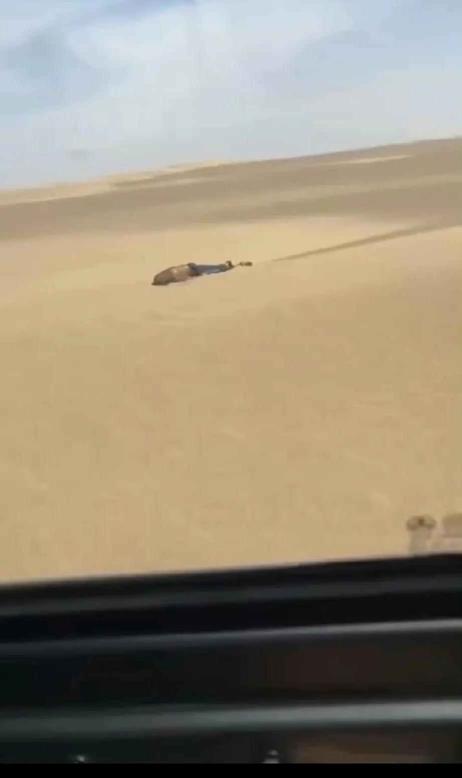 之前看过纪录片，好像是沙漠中临死前会陷入梦境里然后会感到特别特别冷，紧紧的抱住自