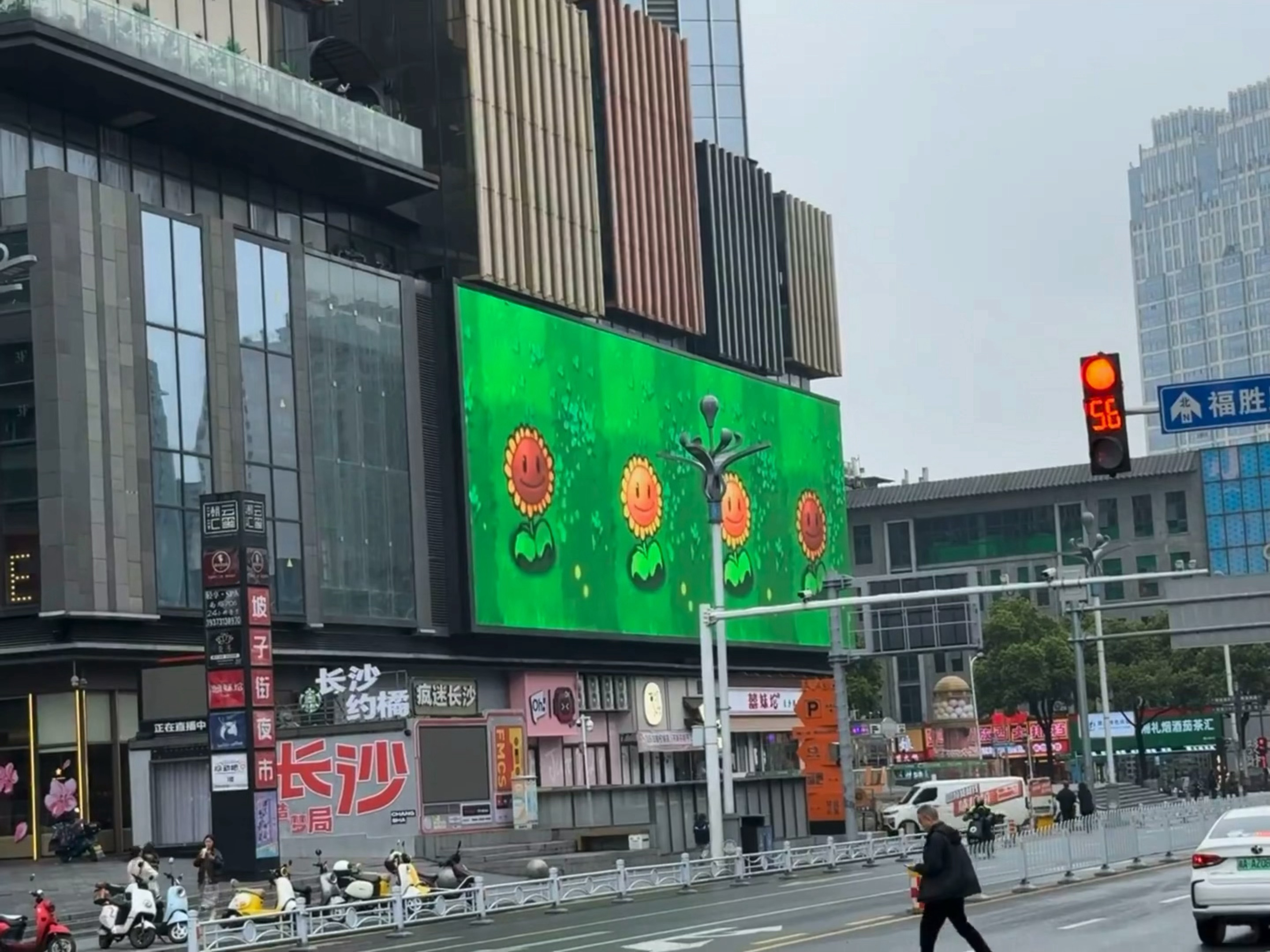 长沙已经开始种太阳了