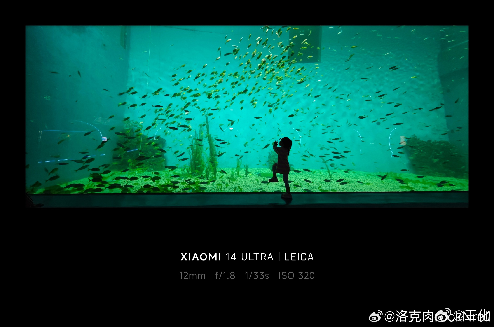 这幅作品我也很喜欢[心]《鱼》许多~的作品 