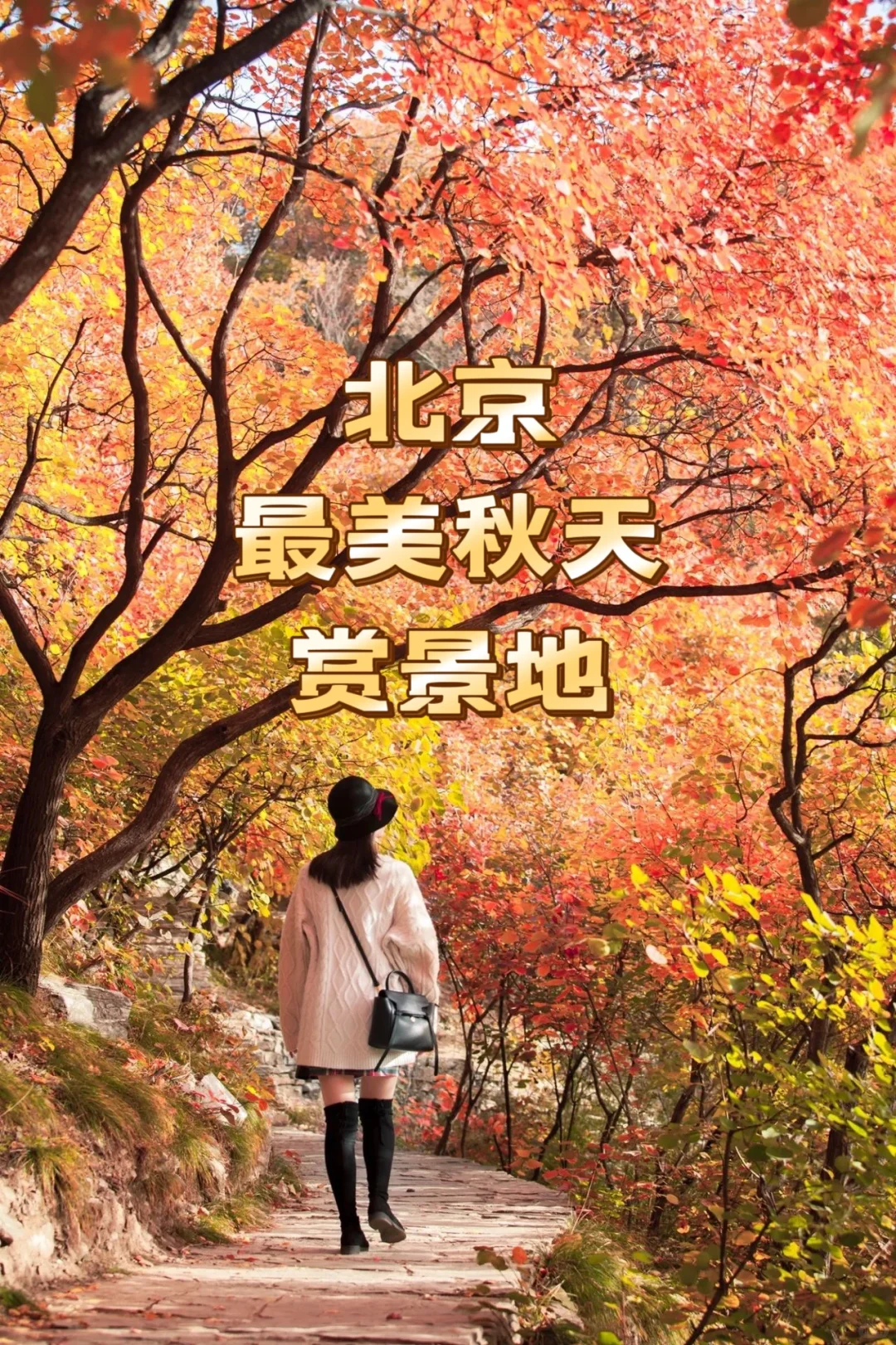 10月27日药王谷赏秋一日游活动召集帖