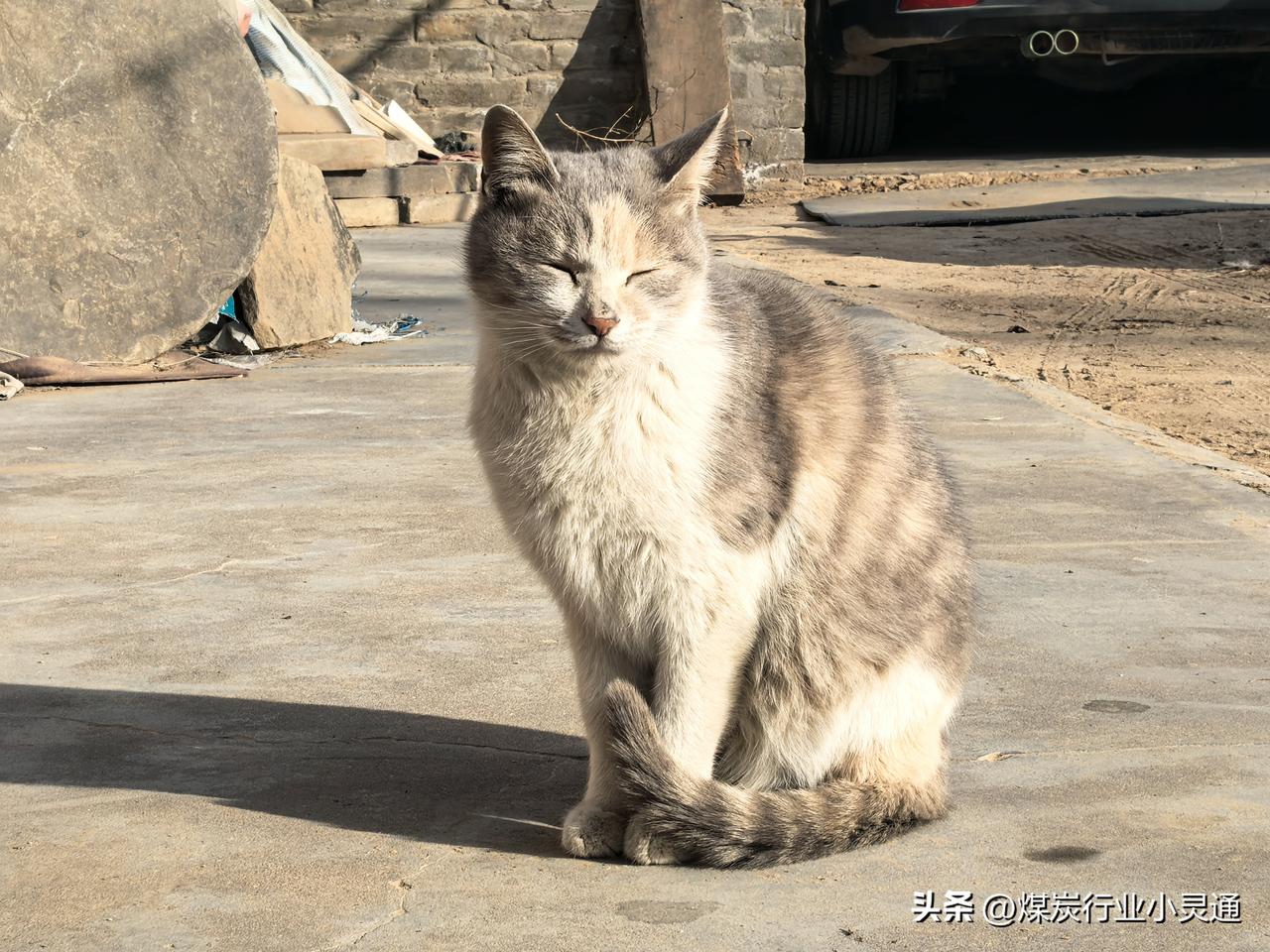 现场管理三定原则
 
1. 定人
明确每项工作、每个岗位由谁负责，责任到人，避免