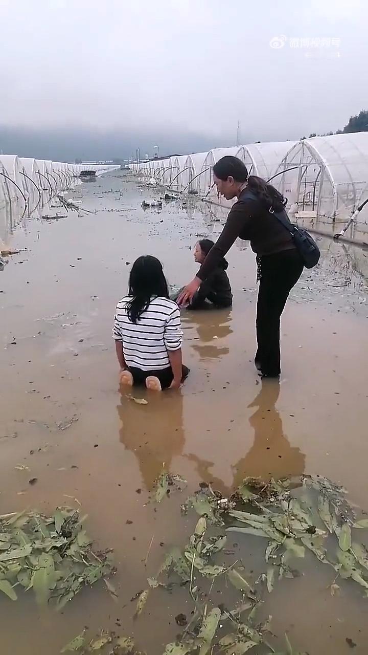 太惨了！
云南的几位农民瘫坐在地上嚎啕大哭，
由于极端暴雨天气，
她们的种植大棚