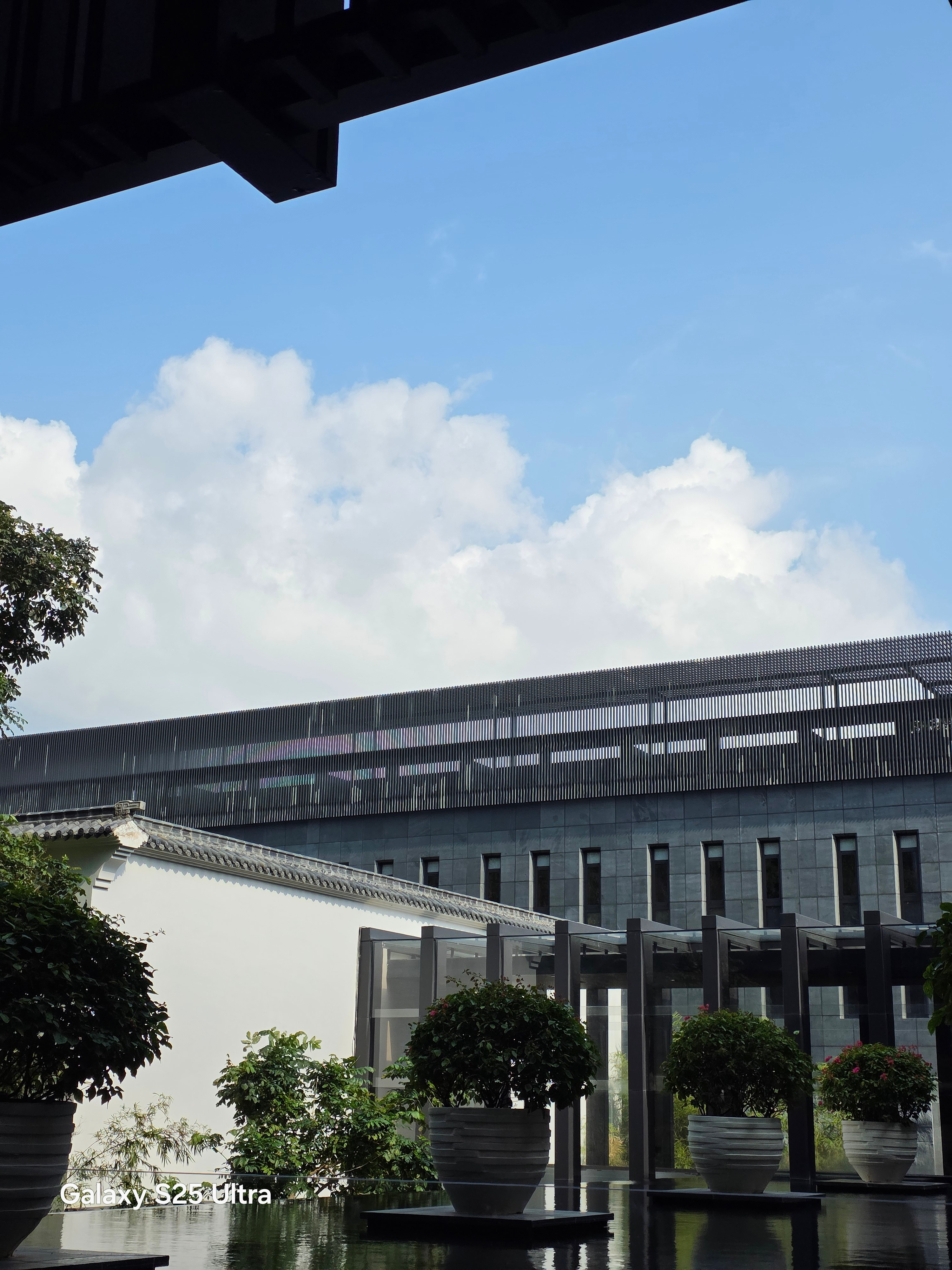 也没啥事，就是晒晒新机的小尾巴[春游家族] 