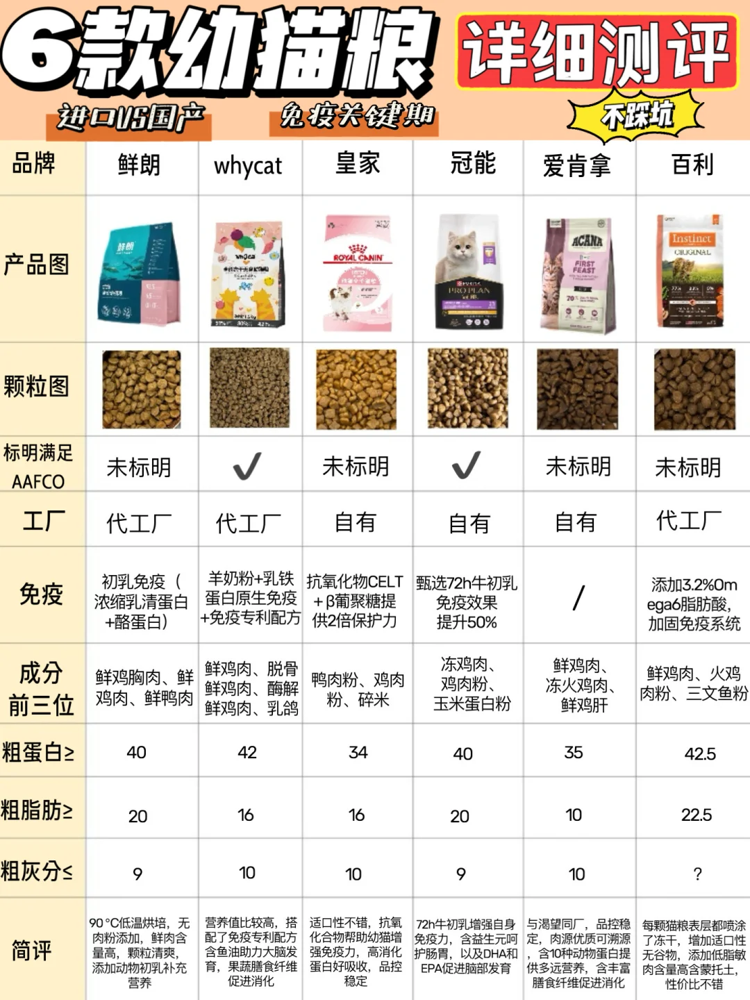 坦白局分享！新手养猫也得择优才是硬道理