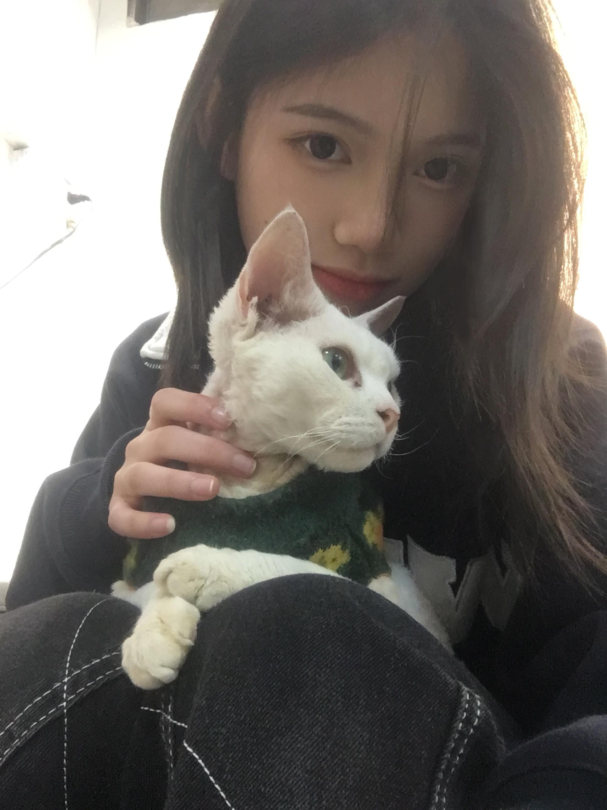 所有的安静都是人造的冷清