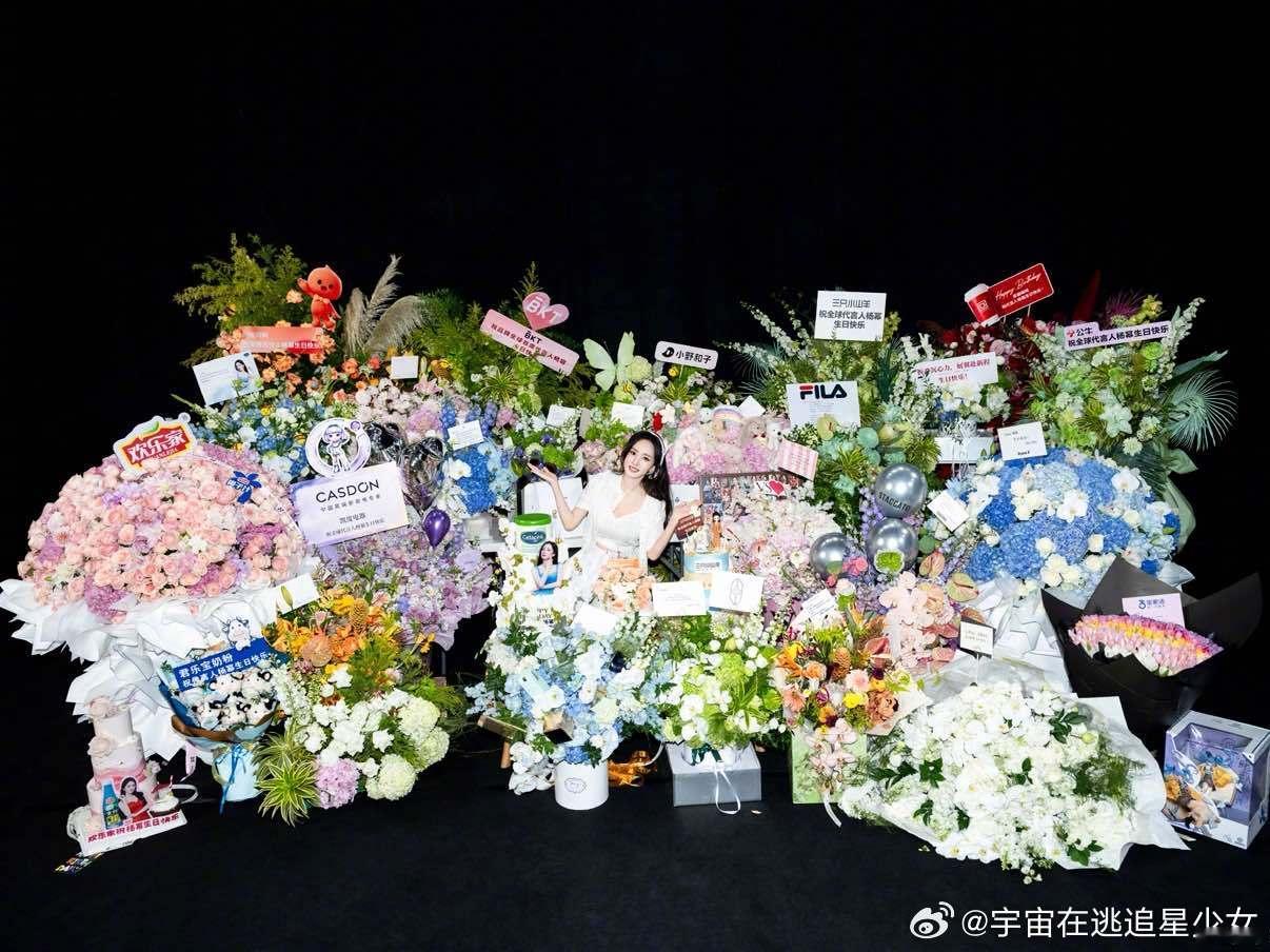 杨幂生日收到好多花花杨幂收到好多花花 幂幂生日快乐！ ​​​