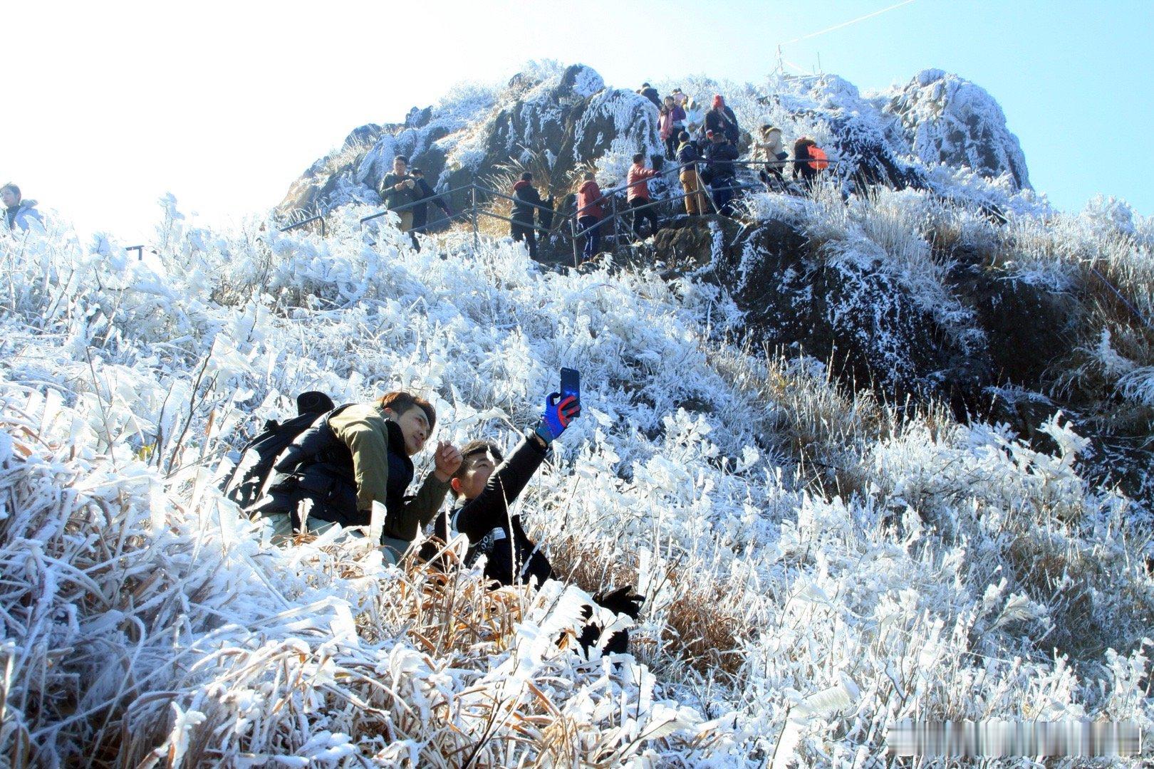 瑞雪兆丰年，清远连山金子山已经是千树万树梨花开，整座山覆盖白皑皑的雾凇，伴随着白