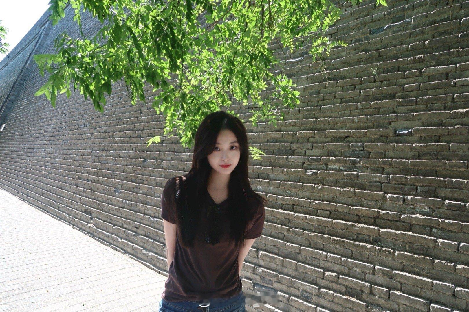 🍃 ​​​
