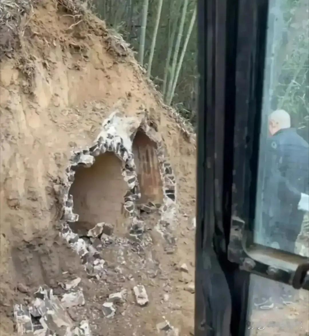 这是挖到了什么吗 