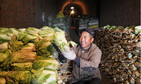 谁懂啊！国人年均吃 486 公斤蔬菜，是美国 3.2 倍、全球近三倍！凭啥咱们天