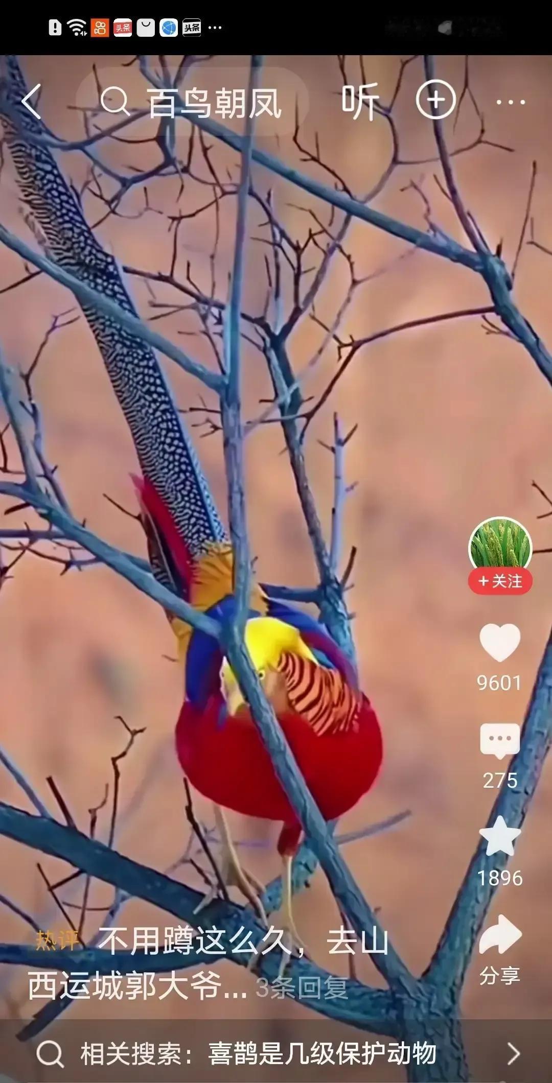 离婚现场，她递出一口中式炒锅，他回敬一套架子鼓——这不是家庭纠纷，而是二十年婚姻