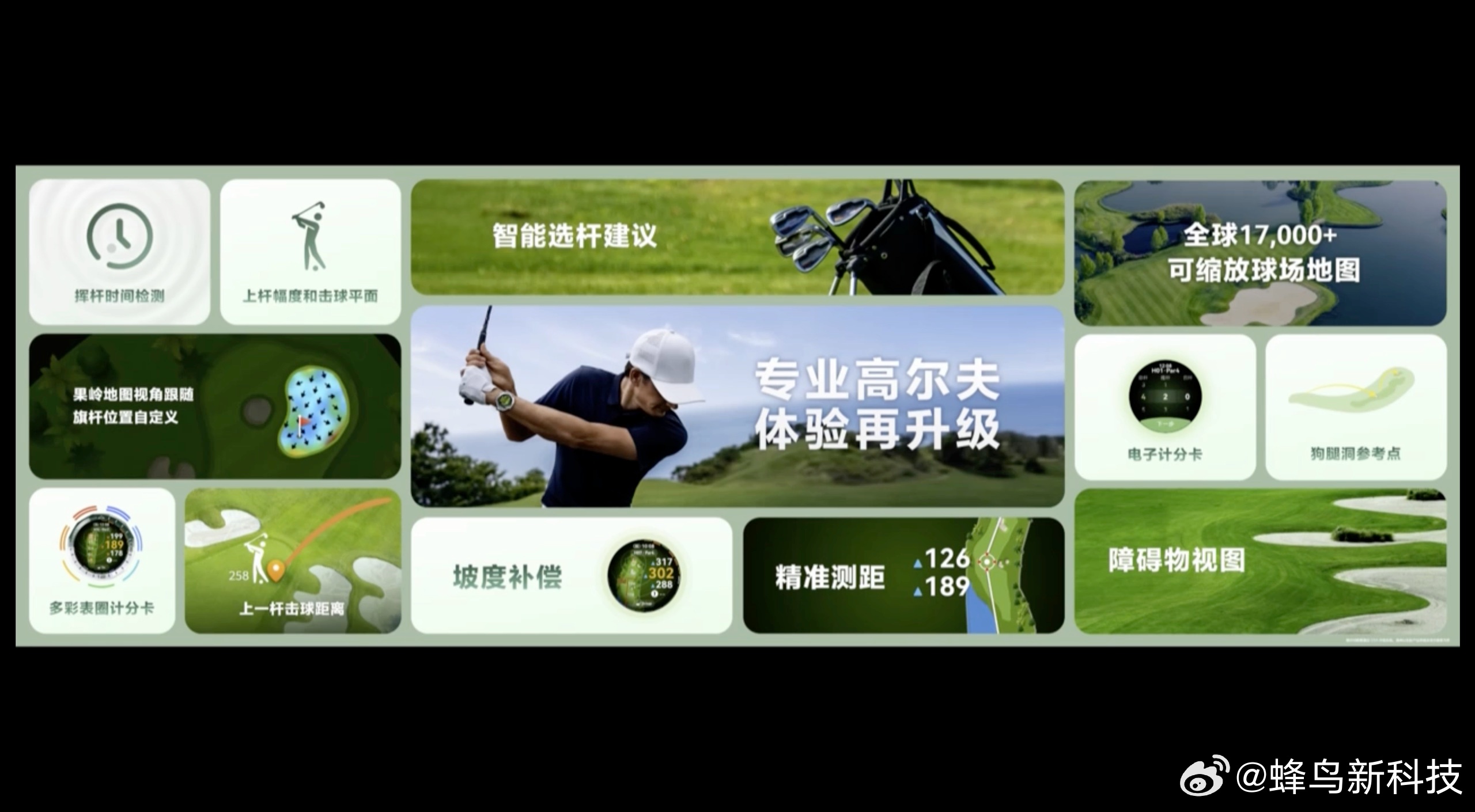 海豚声呐通讯表盘！买了这个高低得去有海豚的地方潜潜水，华为WATCH Ultim