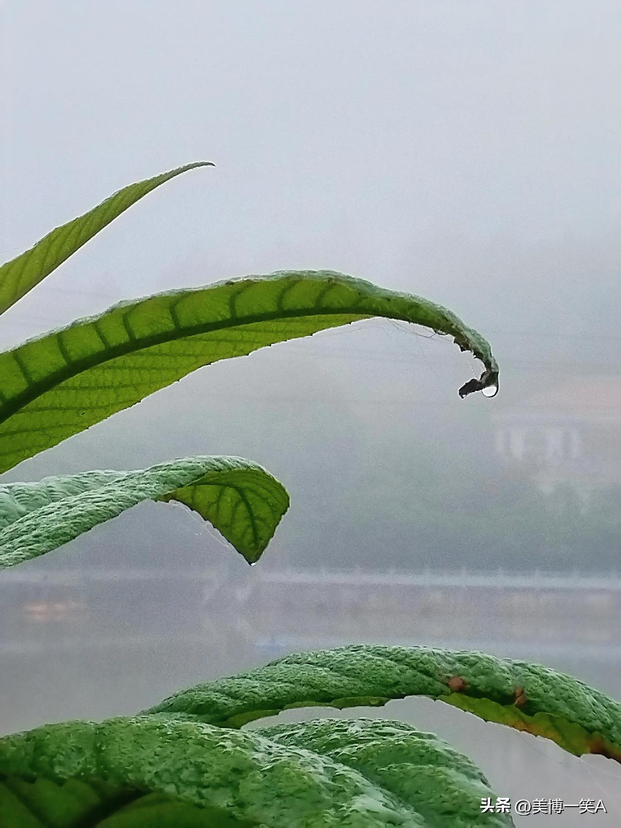 她善良的心，谁人知？
衡阳市这两天下雨，凉爽宜人。
昨中午11:48，家人正在厨