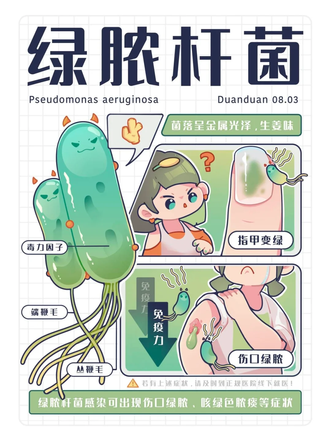 【这样学微生物怎么会学不好呢】绿脓杆菌