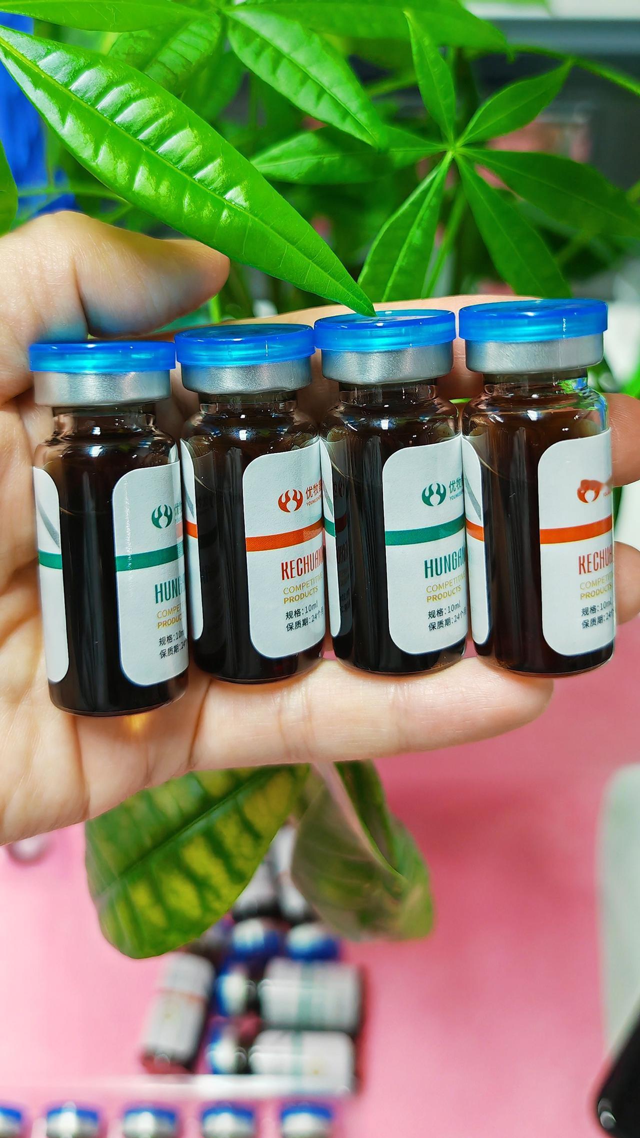 养羊人 农村养羊 牛羊养殖 养殖人加油