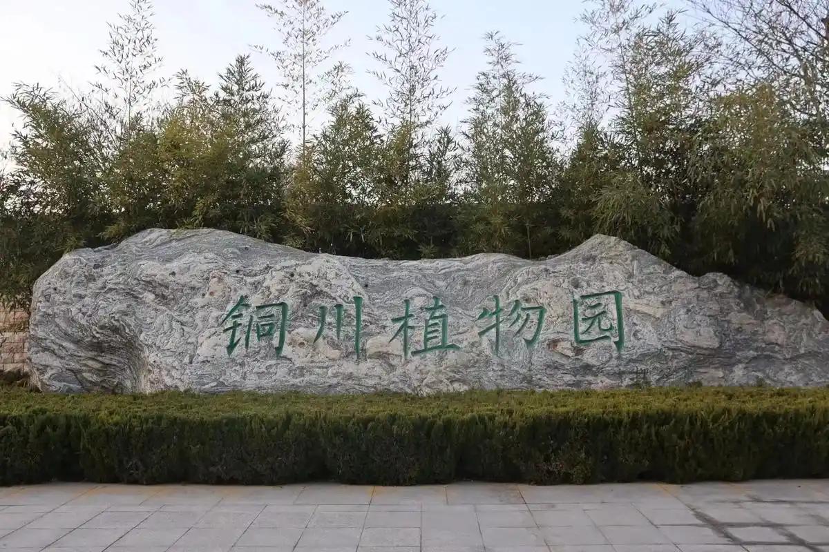 春日打卡｜新区植物园
 
新区植物园真是春日遛弯的绝佳地！188亩的园子藏着数不