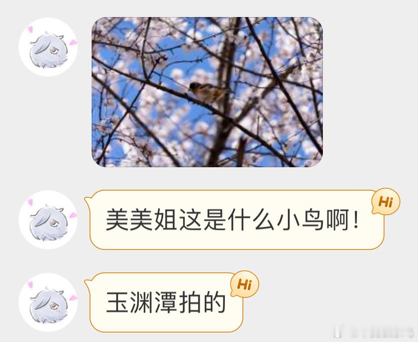 填空题环节～（ ）（ ）安知鸿鹄之志都认识了吧[开学季] ​​​