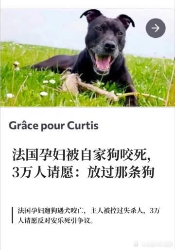 尊重宠物狗的生命，漠视人的生命。还不能宰杀，还得继续喂养着，否则就是没有爱心。 