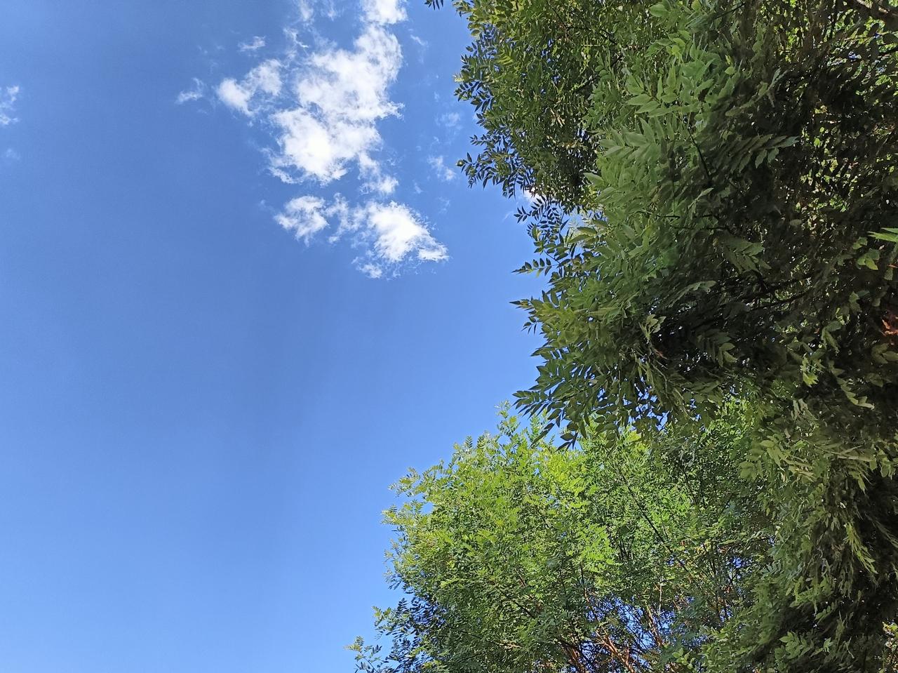 气温渐升，微风徐徐拂面，惬意舒心。
又是三餐温饱、平平安安的一天！满心知足。
感